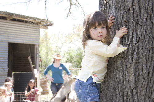 Climbing trees