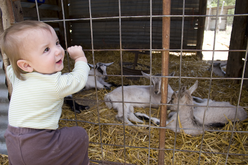 Checking out the kids!